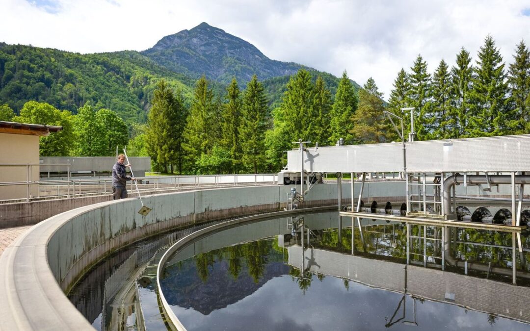 Rundes Nachklärbecken mit Räumerbrücke, im Wasser spiegeln sich die Bäume